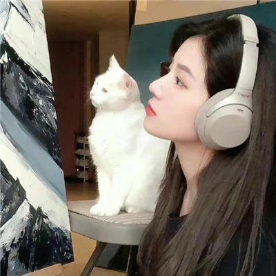 冷案