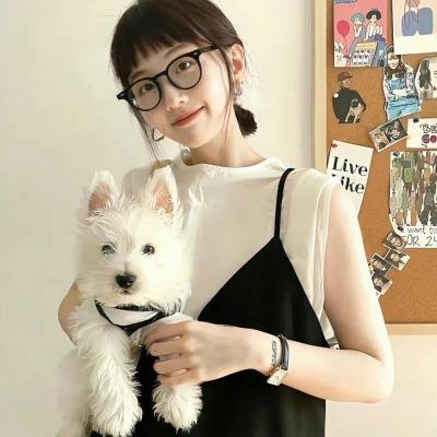 墨城谜案